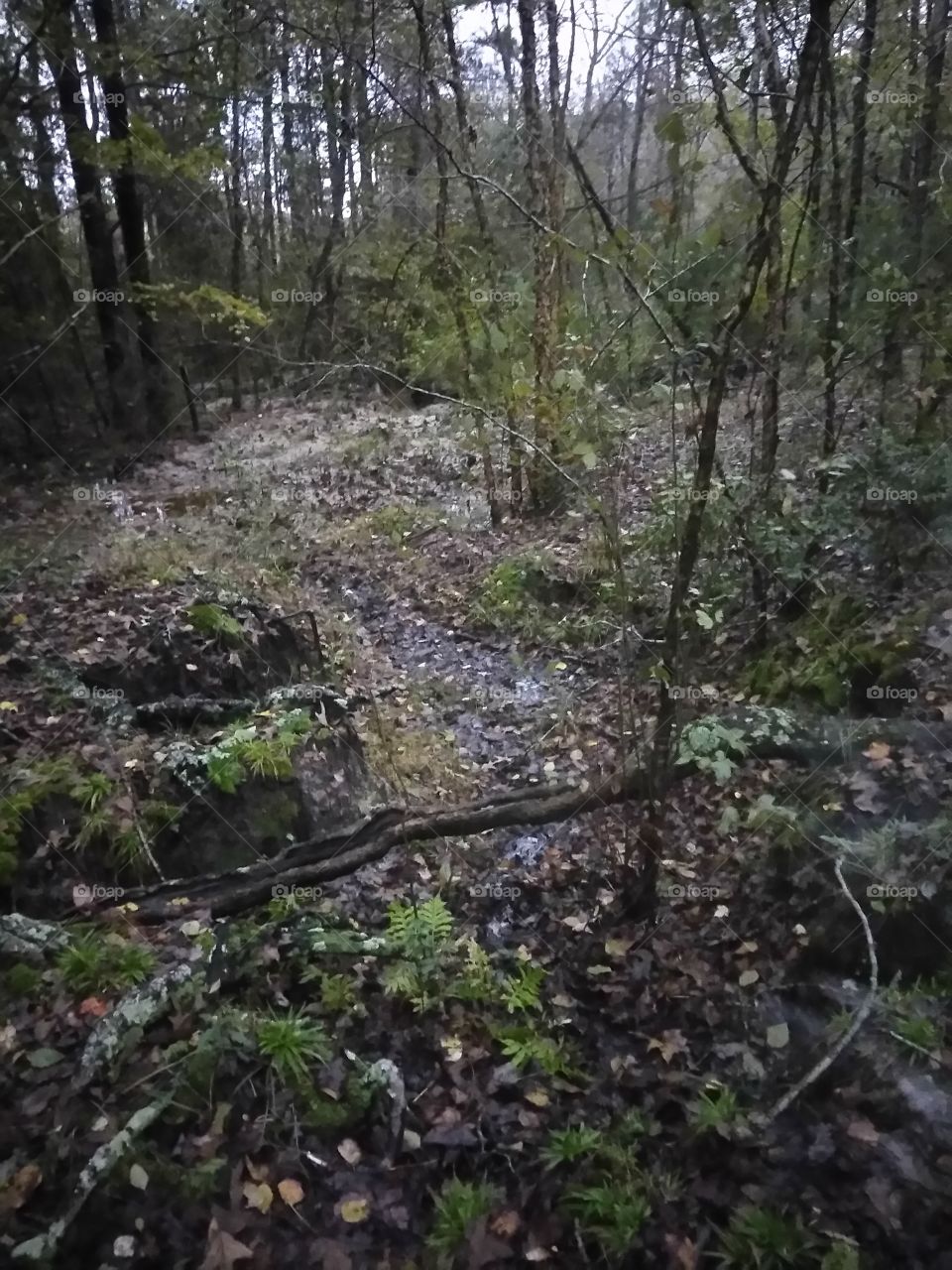 deer hunters paradise