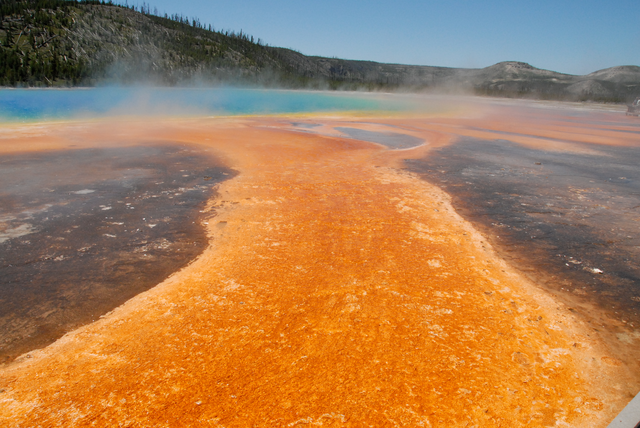 Yellowstone
