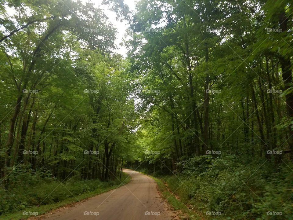 Driving the Back Roads and enjoying everything around us