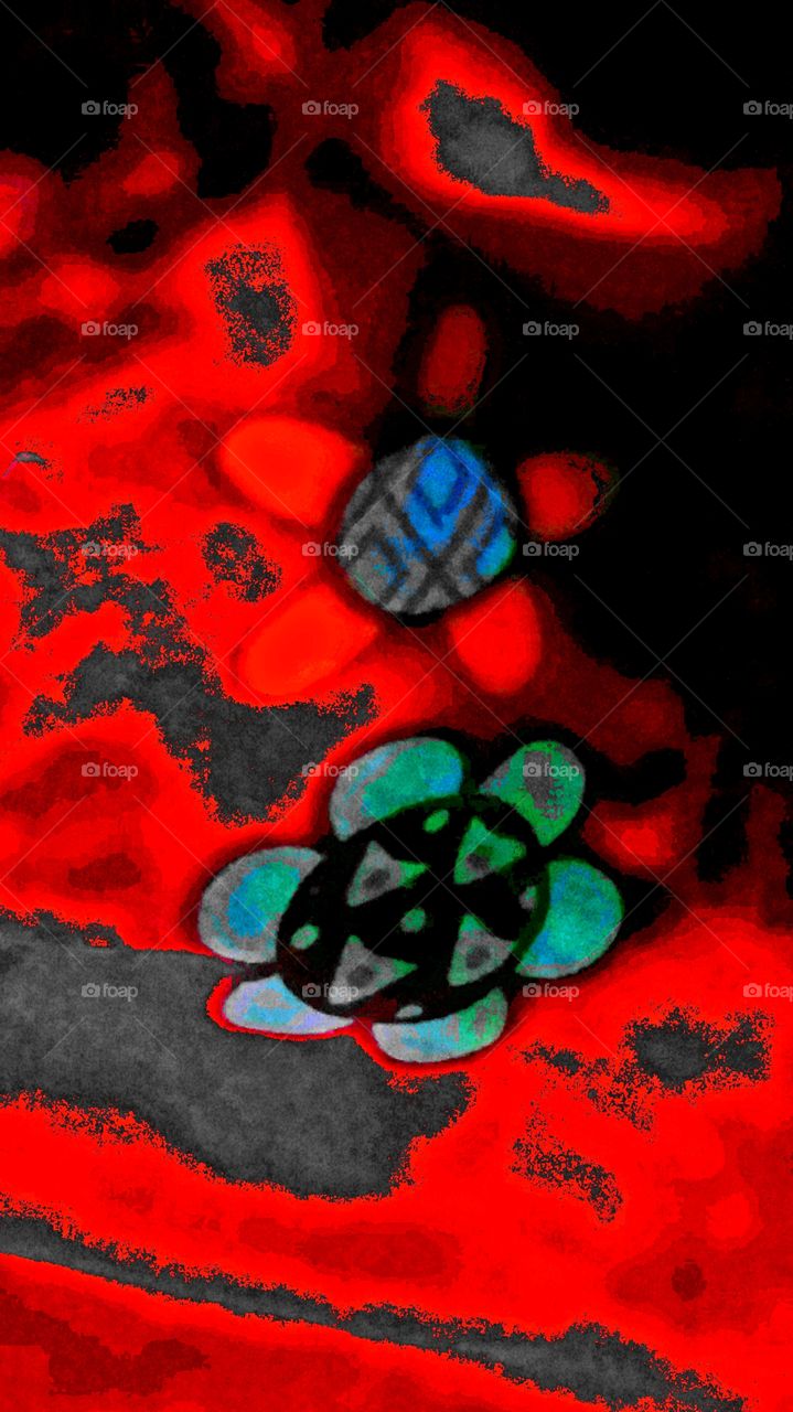 clash of color reds greens blues