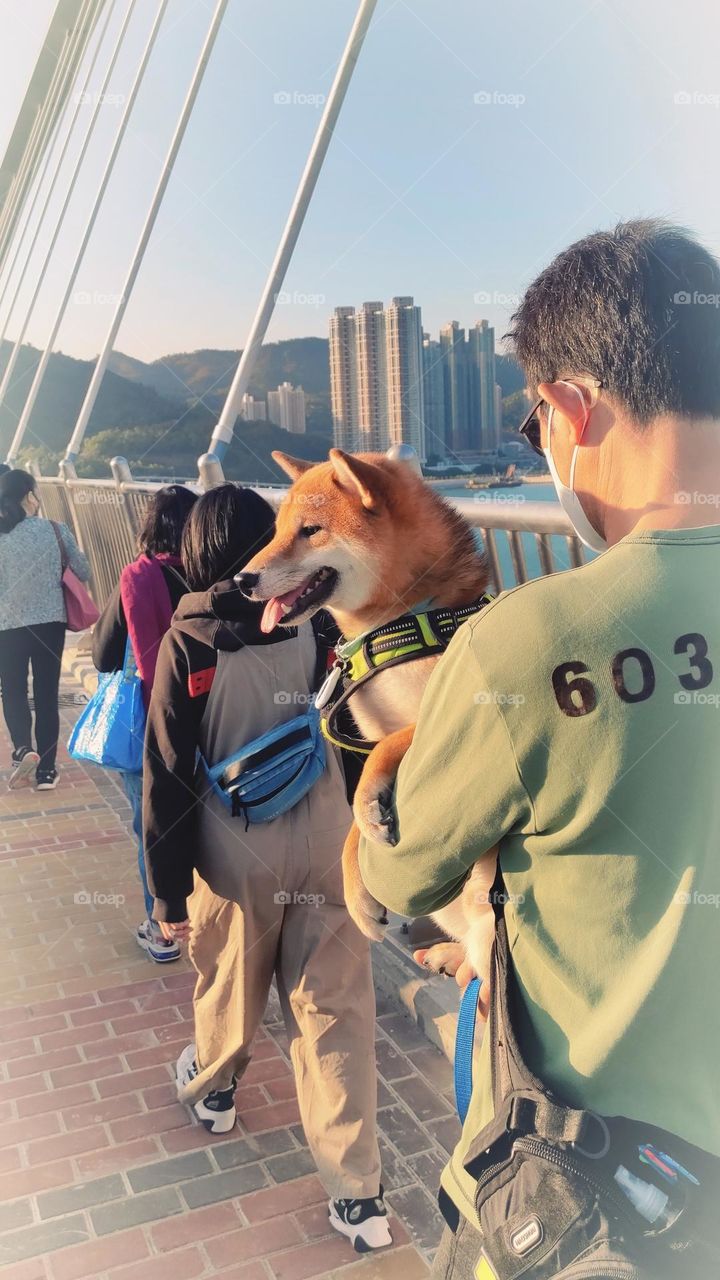 The dog enjoys being hugged and shows a happy expression 🐶🤗