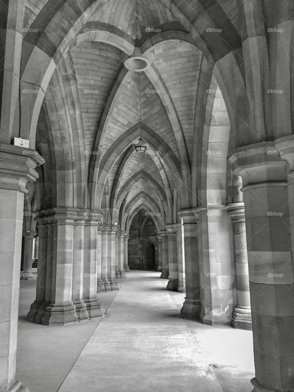 The cloisters at the Glasgow Museum - again.