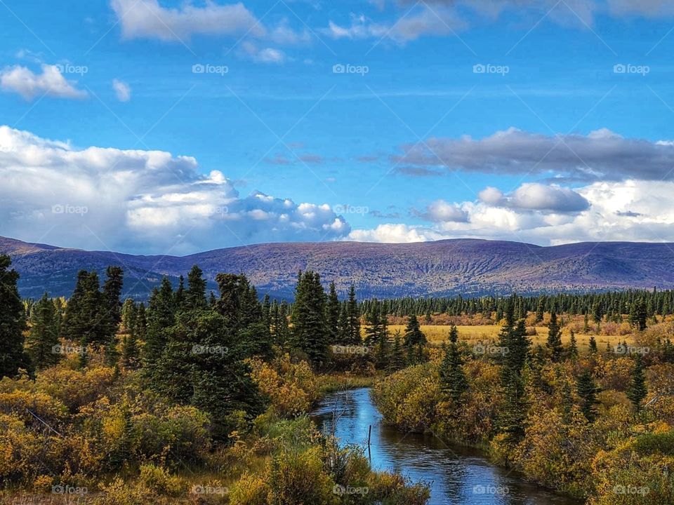Fall trees on the mountains and around the stream