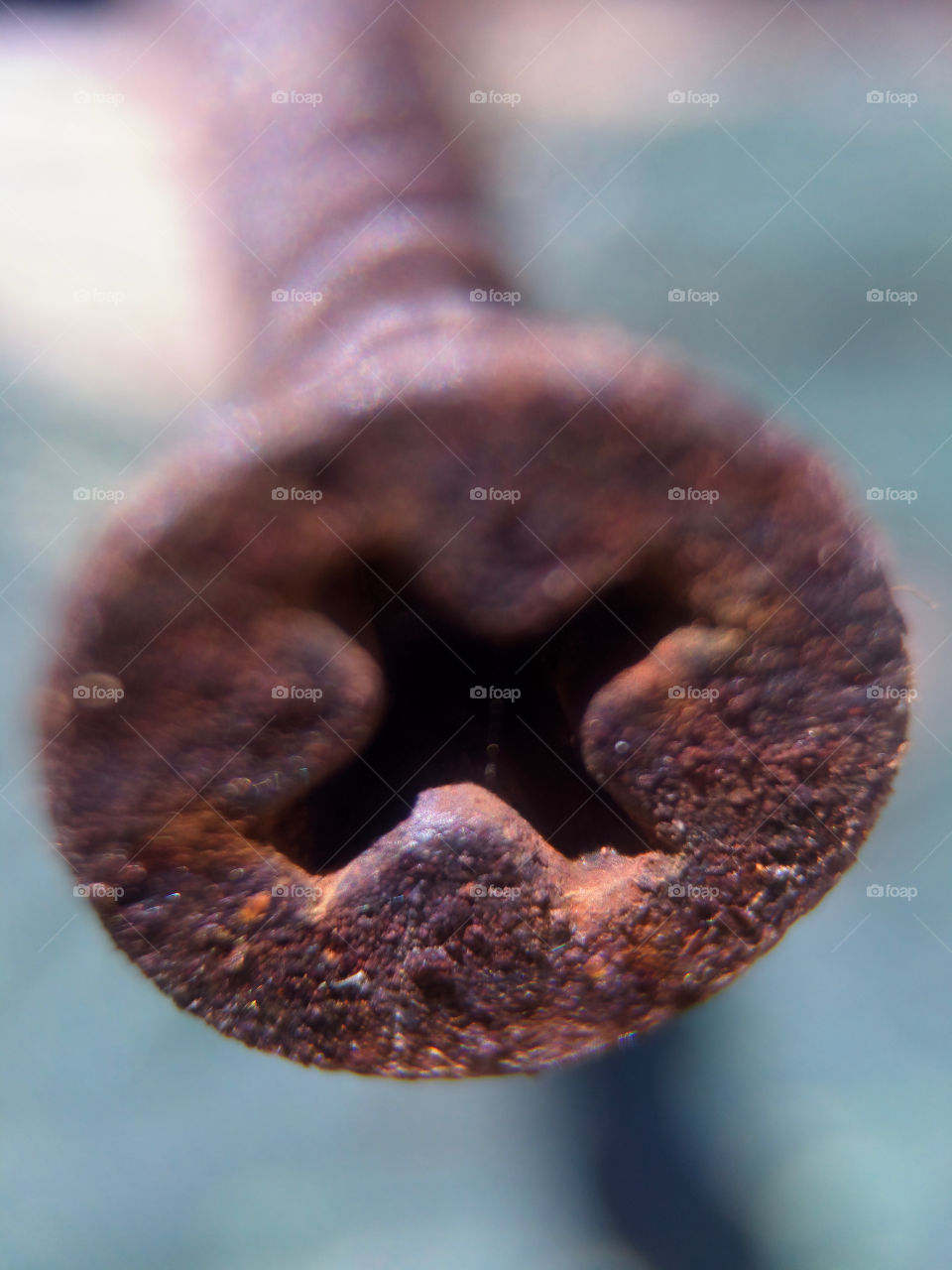 A rusty screw macro closeup 