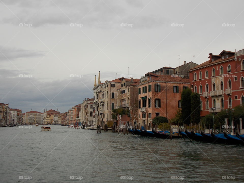 Venice's shore