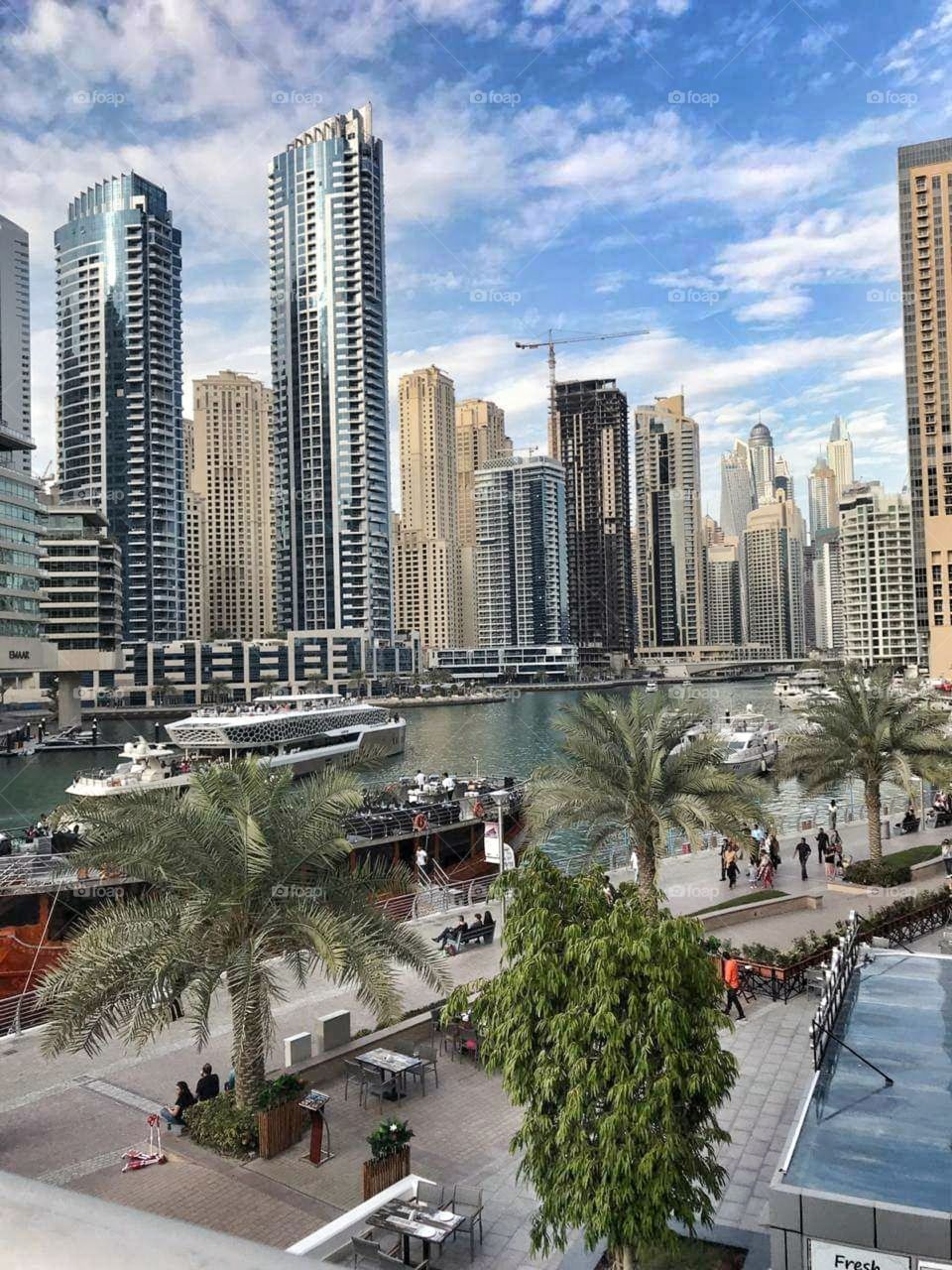 city, skyscrapers,  palms