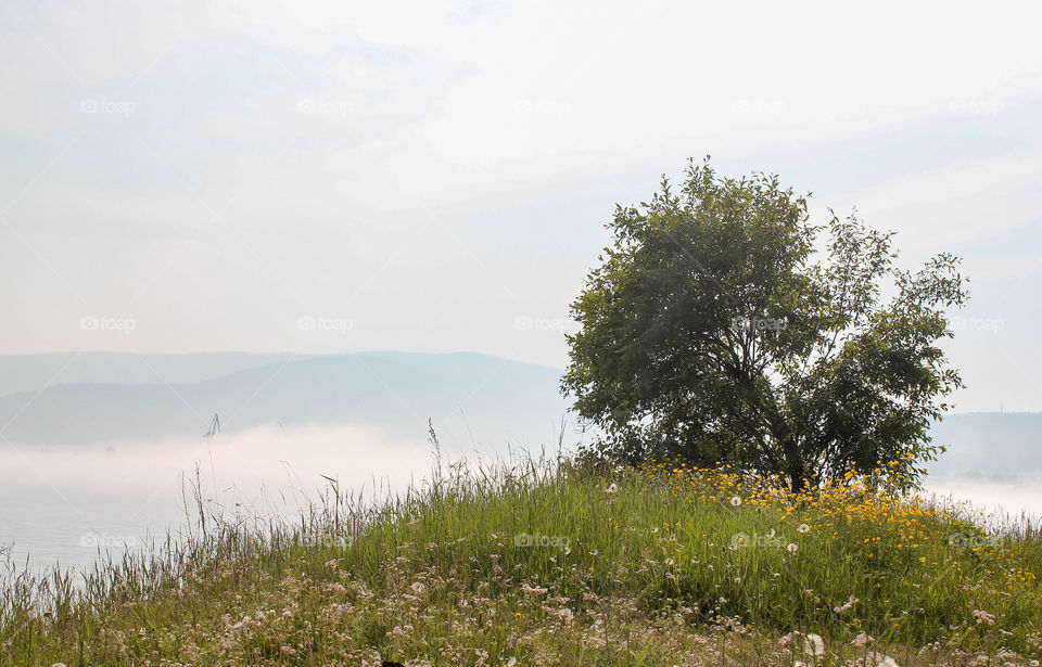 Polyana on the shore of Baikal.