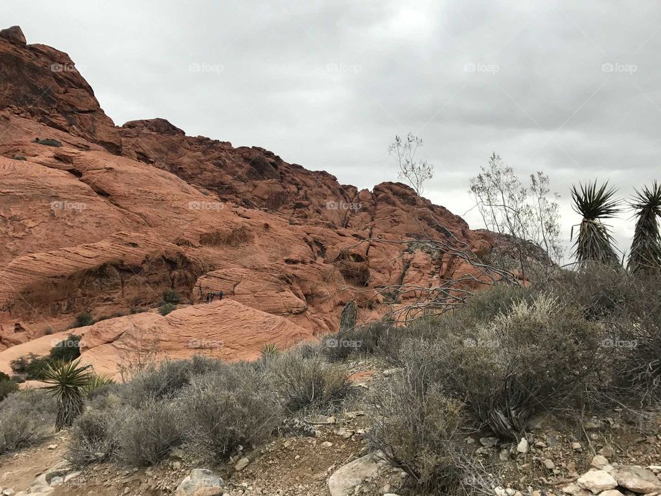 Red Rock