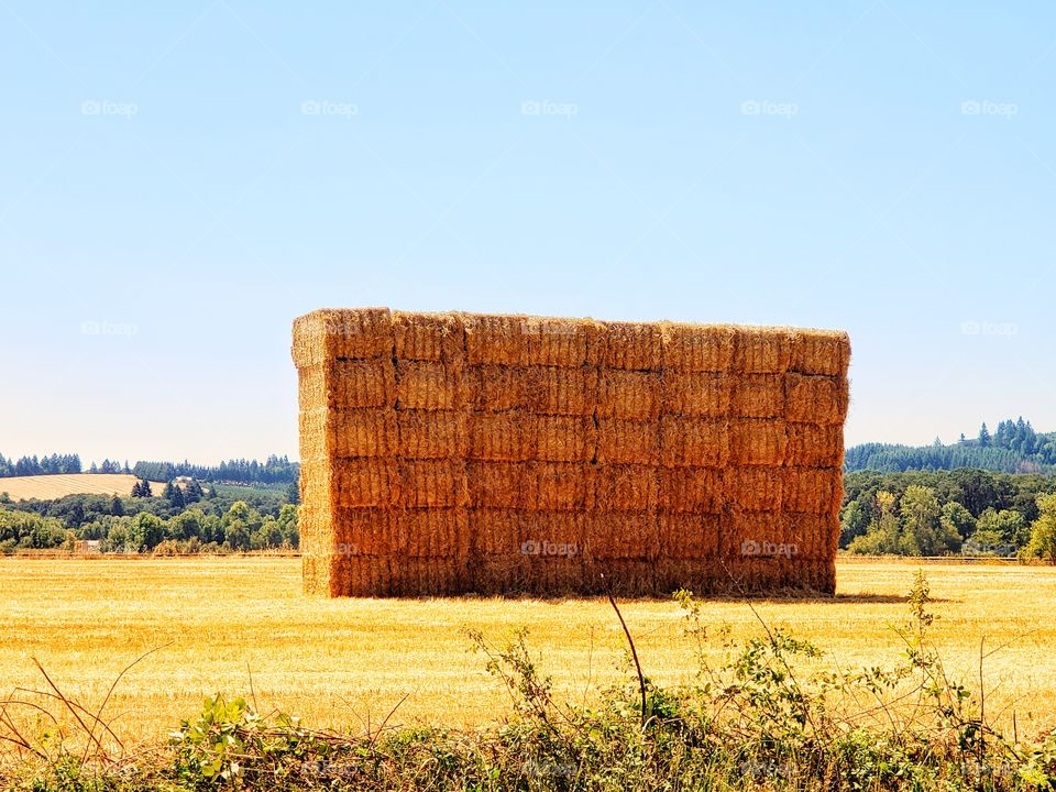 hay stack