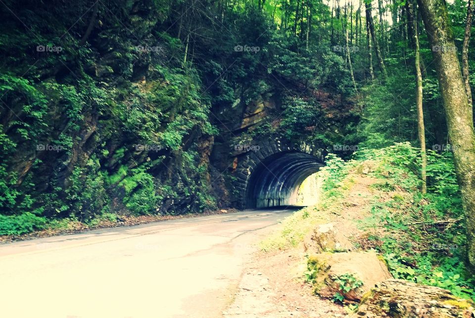 Country Tunnel