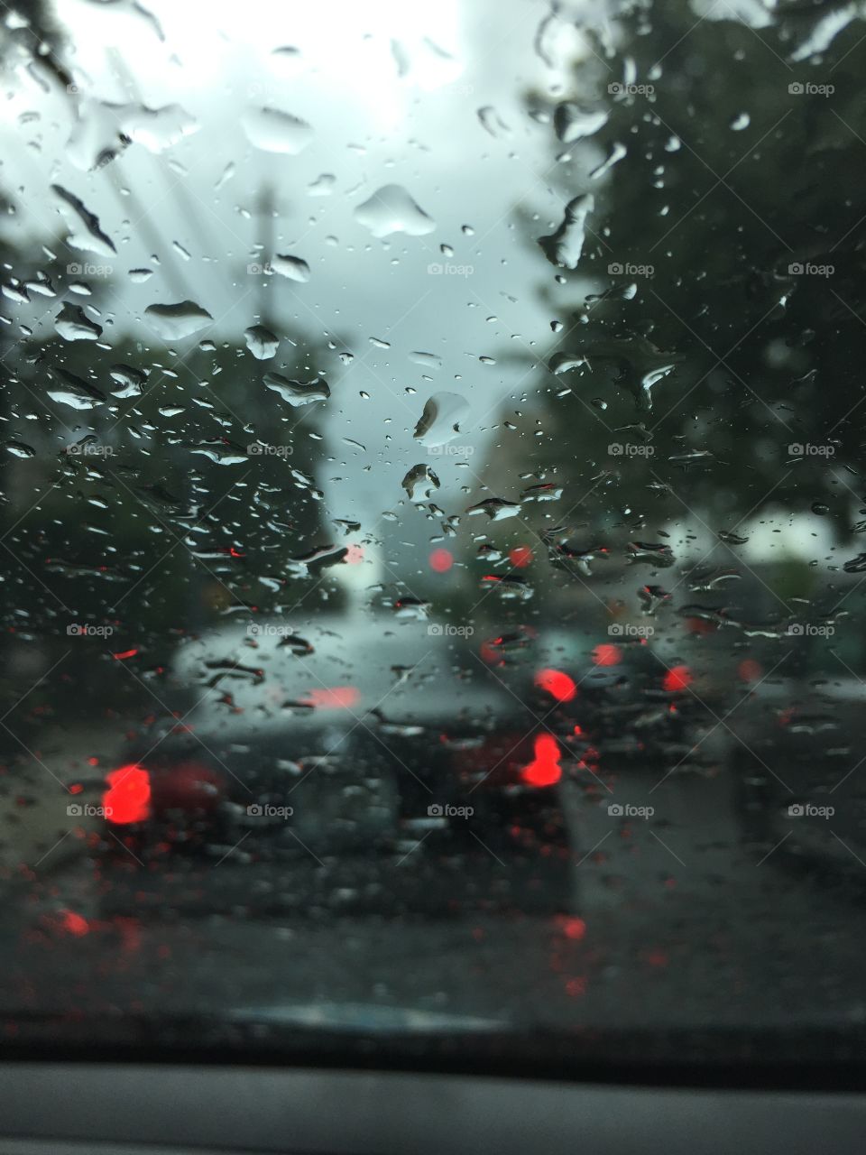 This picture was taken when I was going to work on a rainy day. 
