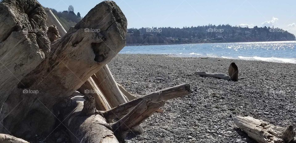 carkeek shore