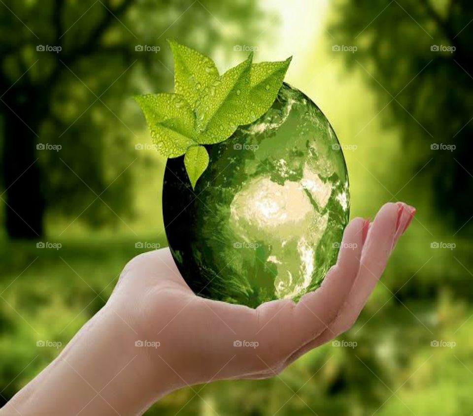 World Environment Day is celebrated on the 5th of June every year, and is the United Nation's principal vehicle for encouraging awareness and action for the protection of our environment.