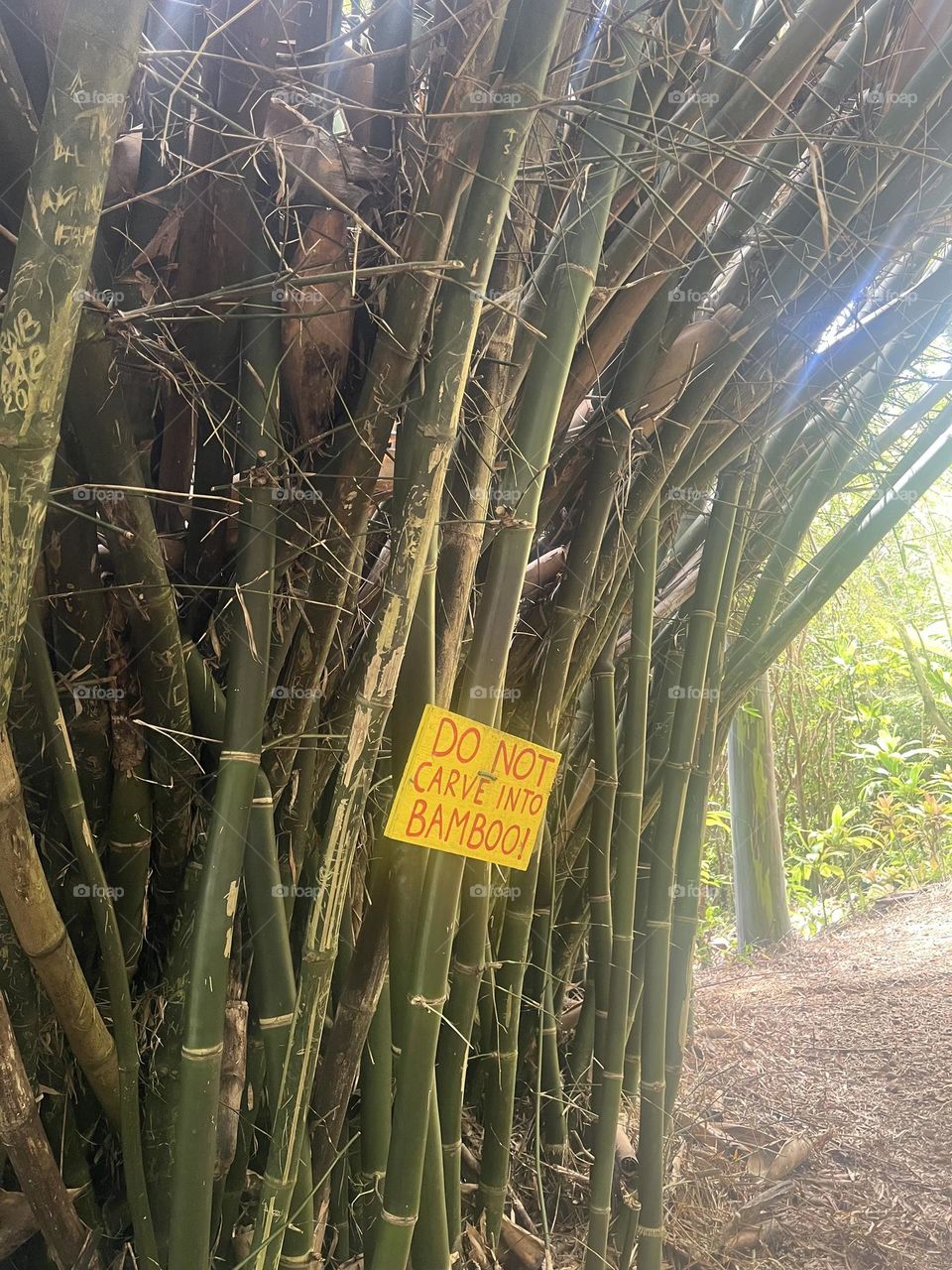 Do not carve into bamboo 