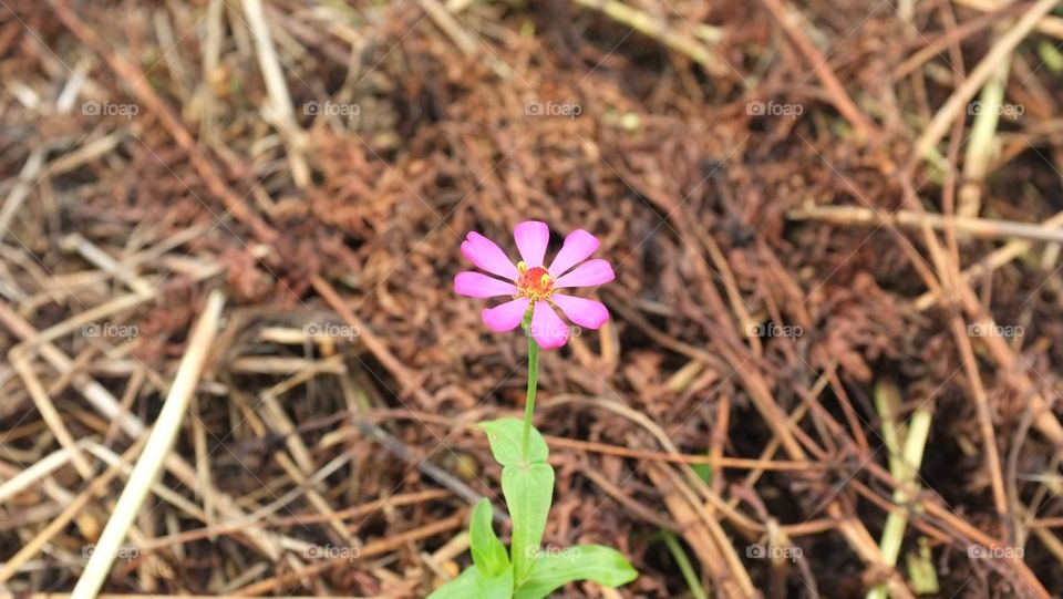 ในทุกๆหนแห่งมักมีความสวยงามเล็กๆปรากฏขึ้นเสมอ