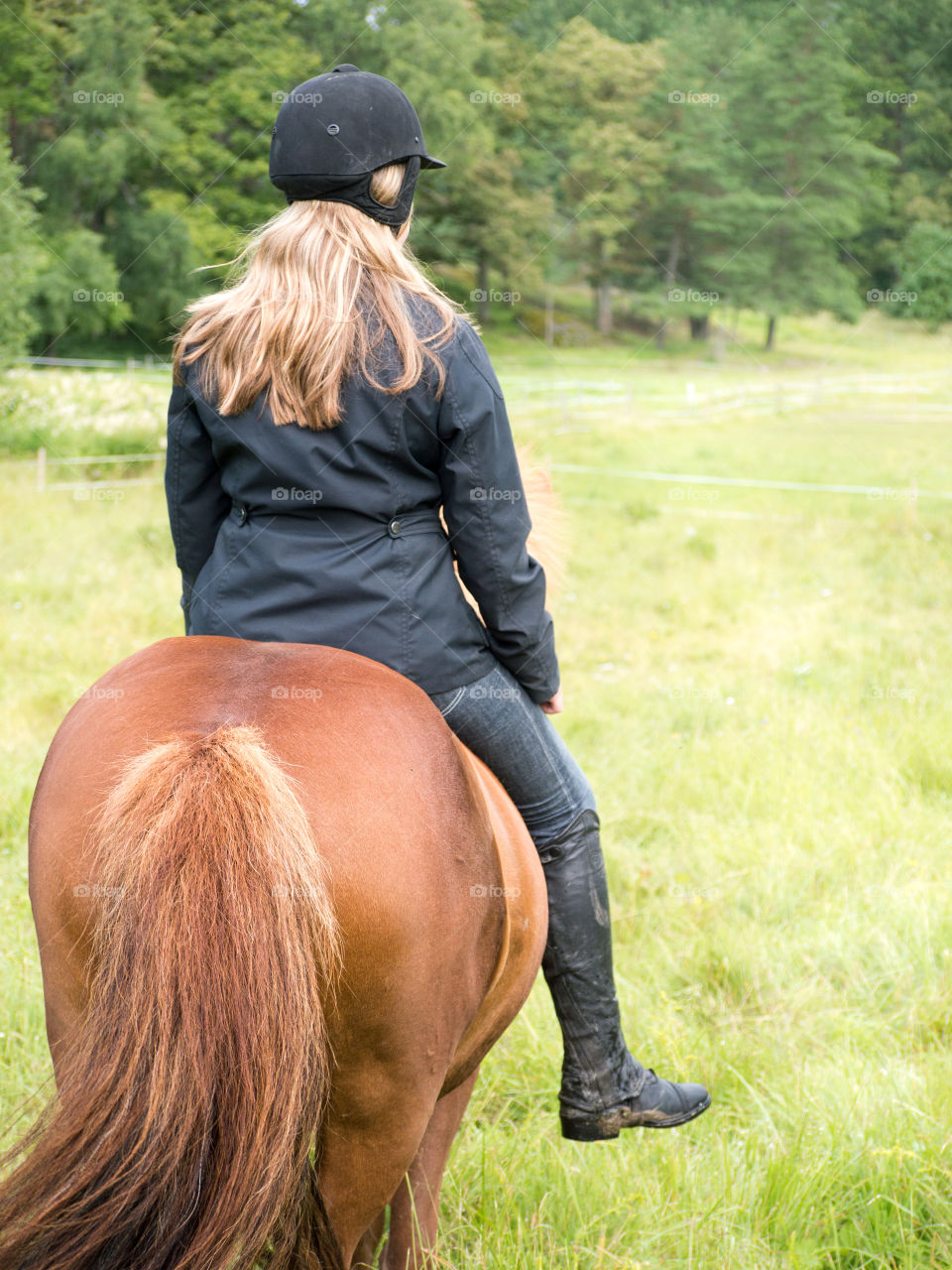 Rear view of a girl riding on horse