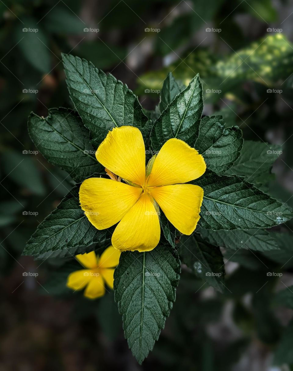 change your wallpaper 😄