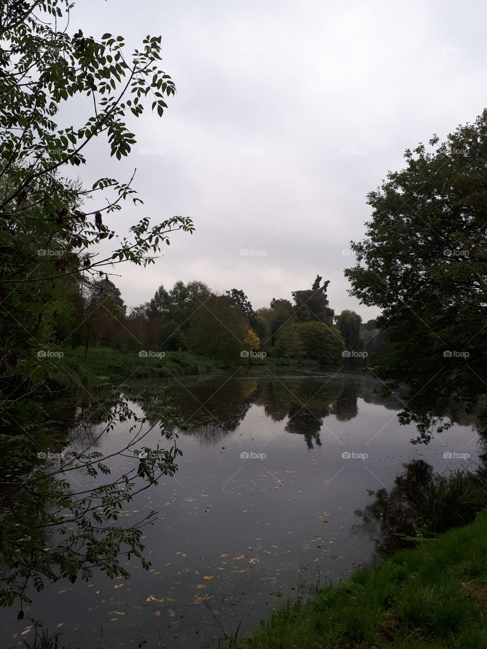 No Person, Water, Tree, Landscape, Lake