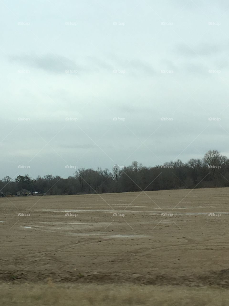 Landscape, No Person, Tree, Outdoors, Sky