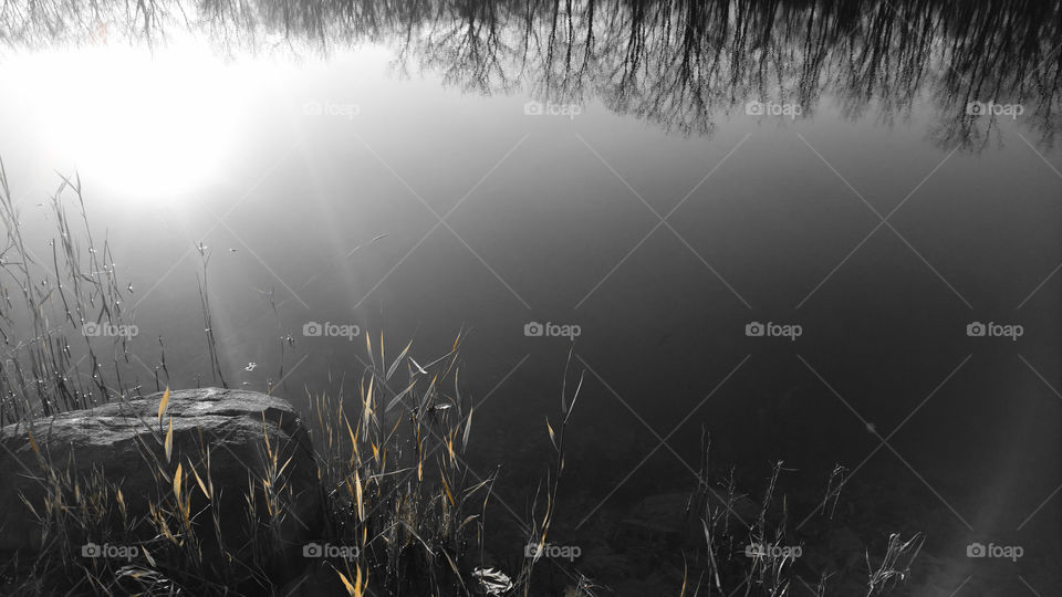 Sunny Lake B/W