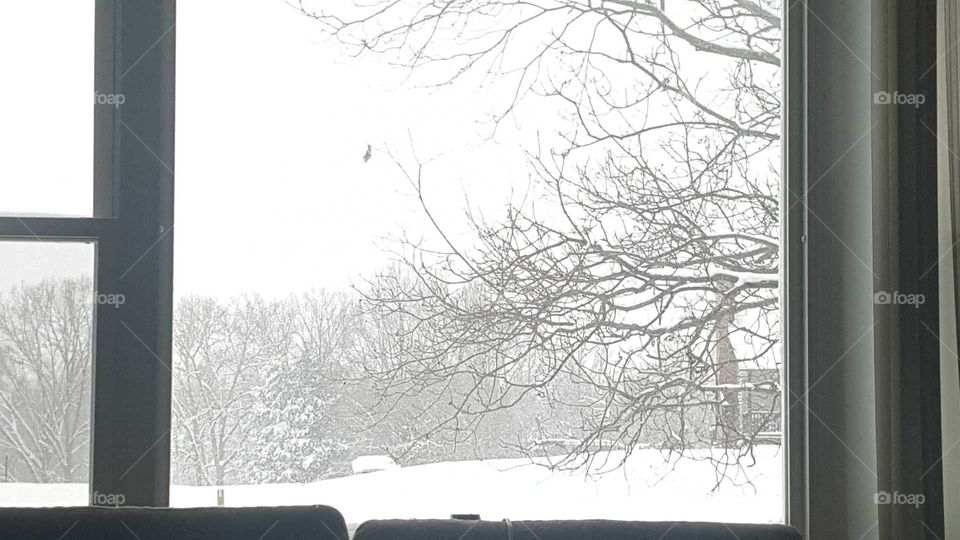 When it snows, it SNOWS!!