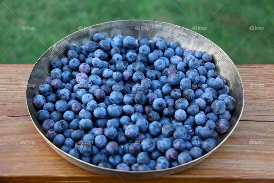Lucious fresh-picked blueberries in a brass dish