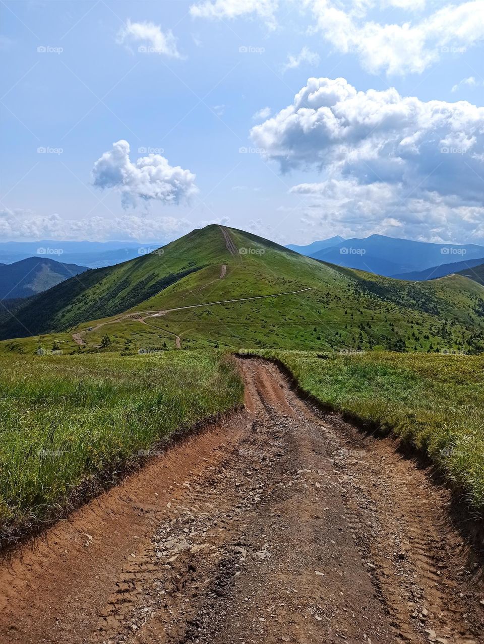 trekking in the mountains. travel to the Carpathian mountains