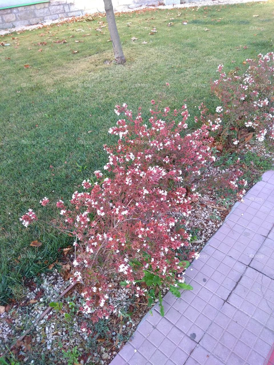 Best of 2021: Nature