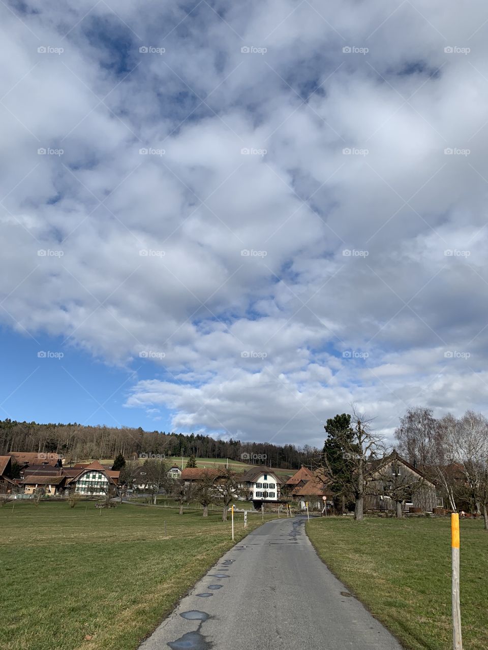 Village in Swiss 
