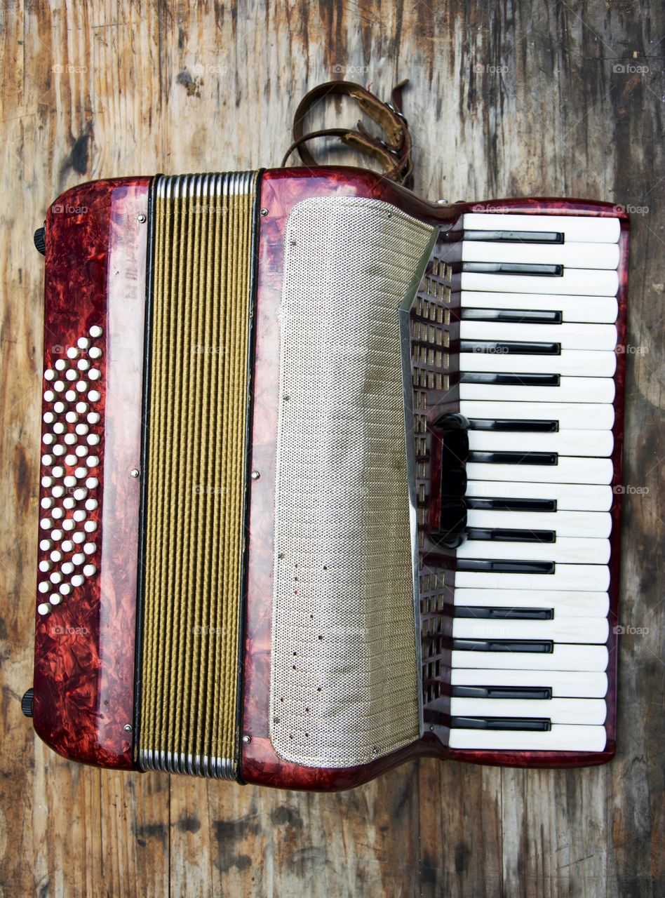 children accordian. children accordian musical instrument