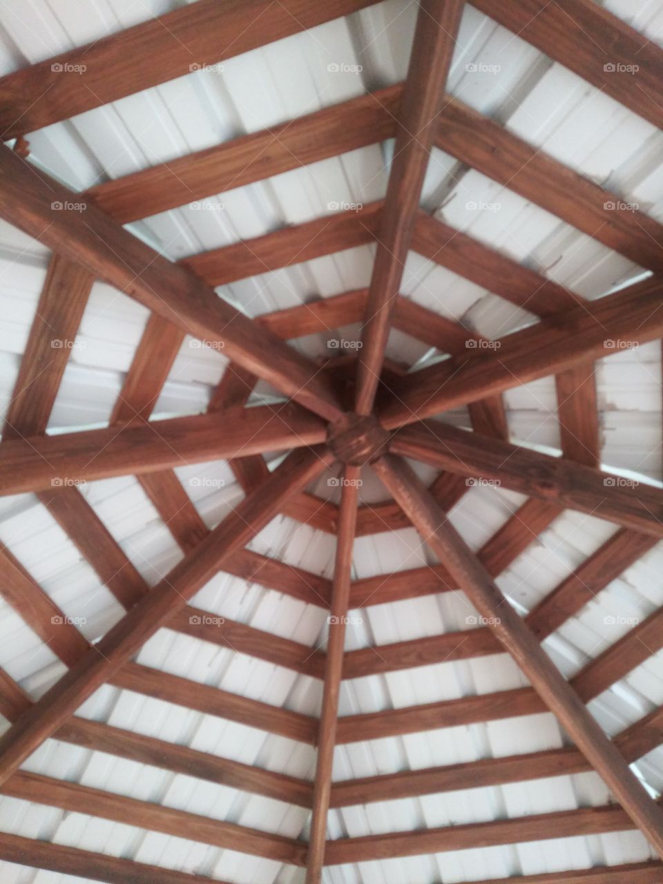 Under the gazebo