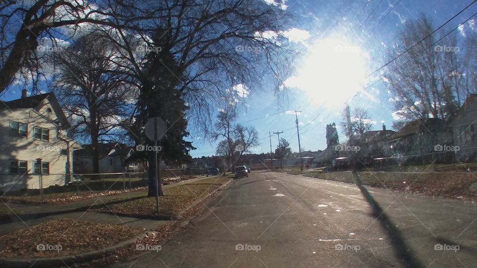 Road, Tree, Landscape, Weather, No Person