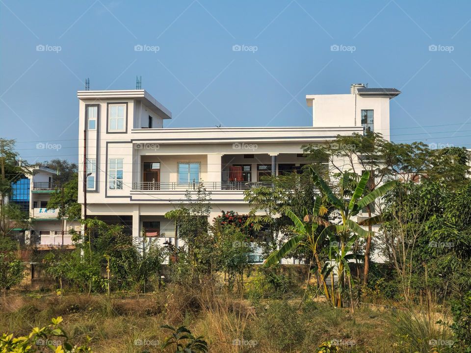 White bungalow in the background of plants and trees