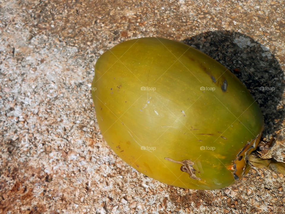 Small Whole Coconut