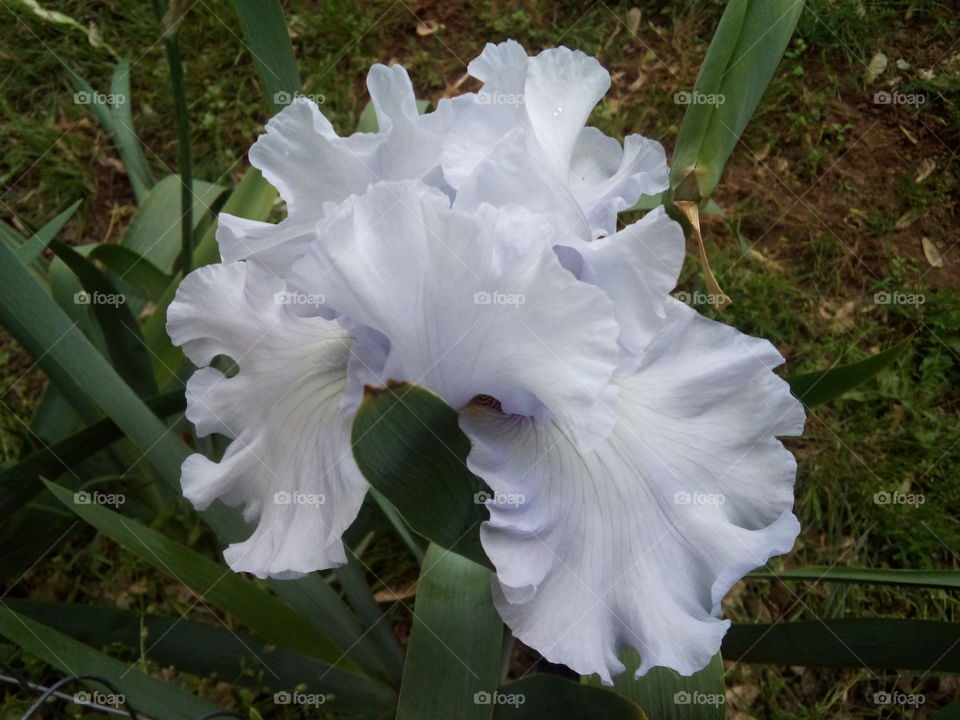 may your heart be filled with joy and your day be filled with many Blessings. this is a new day.