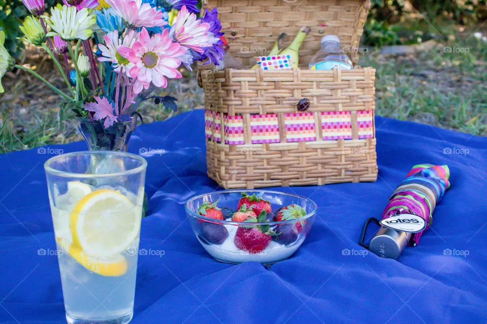 Picnic Summertime Flowers Fruit Lemonade Totes Umbrella Basket