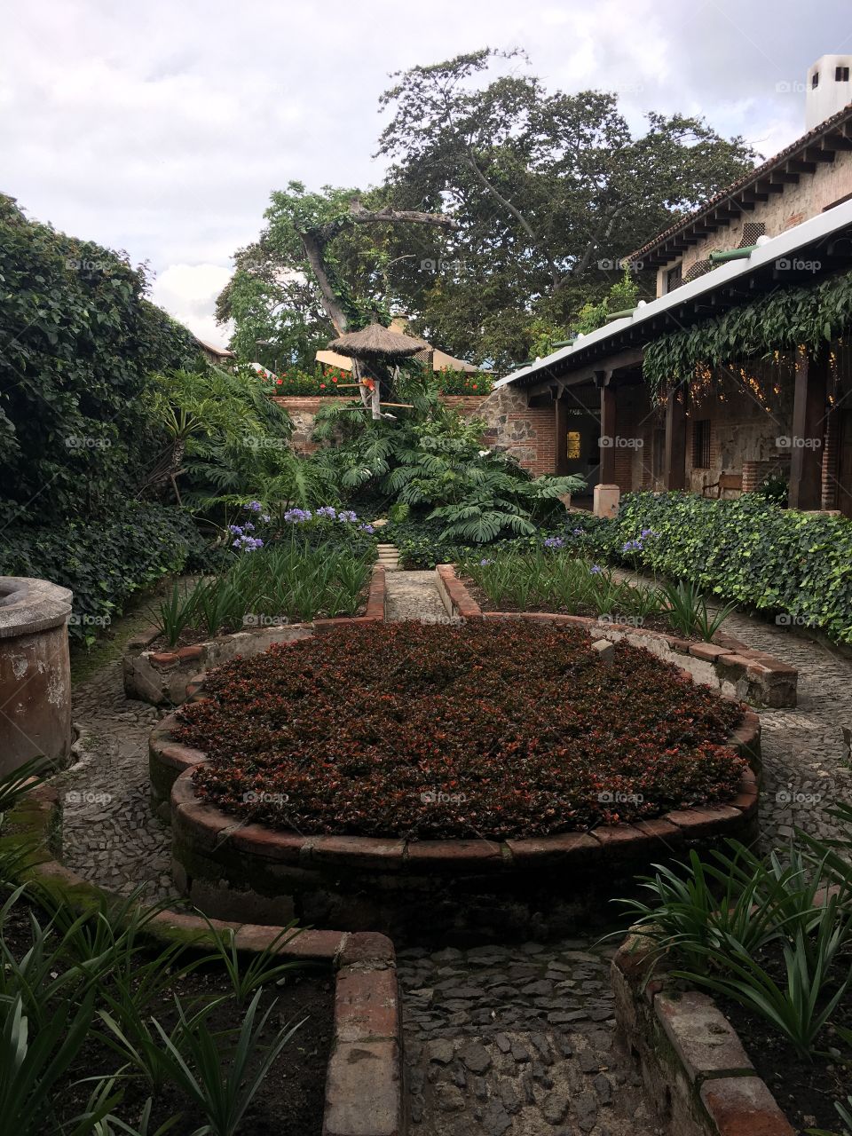Guatemalan garden