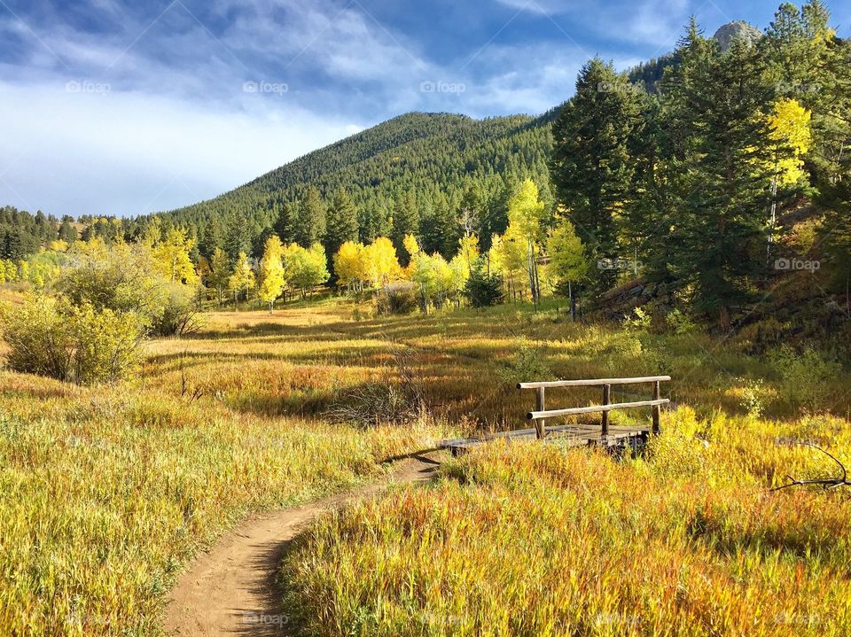Bridge on Mule Deer Trail
