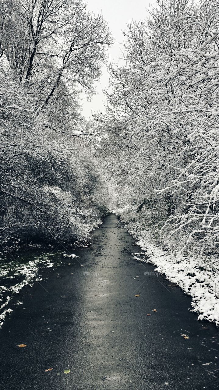 View of snowy road