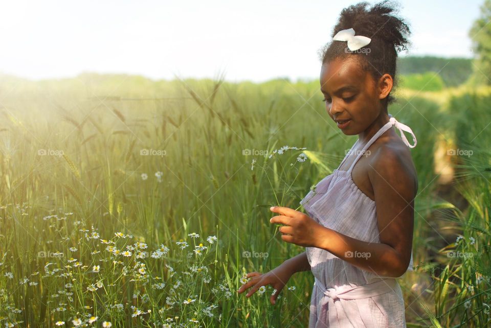 Girl of mixed race picking wildflowers in a barley field during summer time