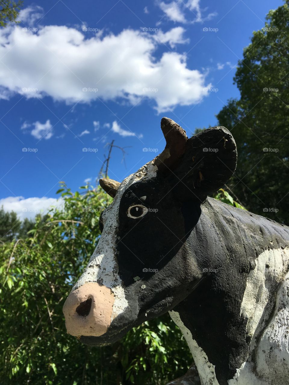 Cement cow against greenery & blue sky!🐄