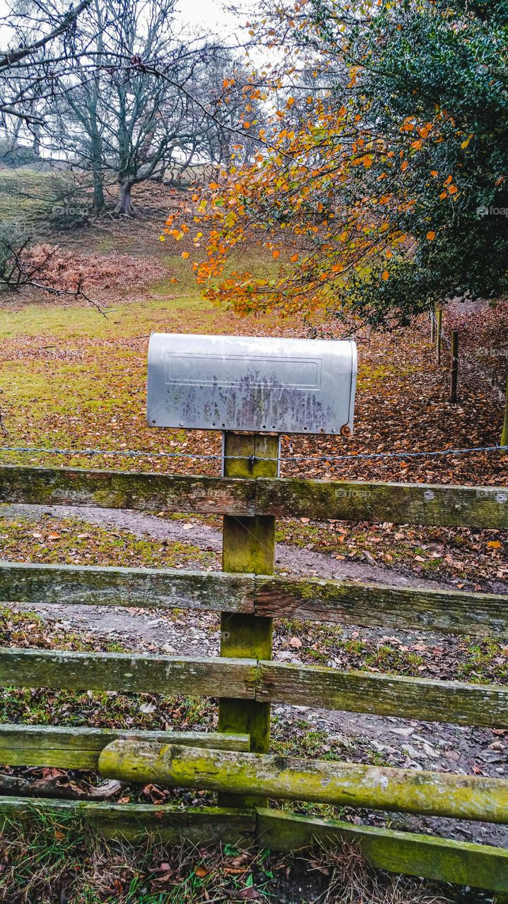 Mailbox on the fence in the autumn