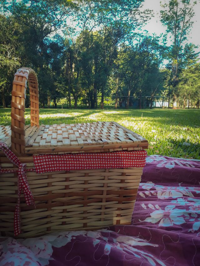 Cesta de piquenique
