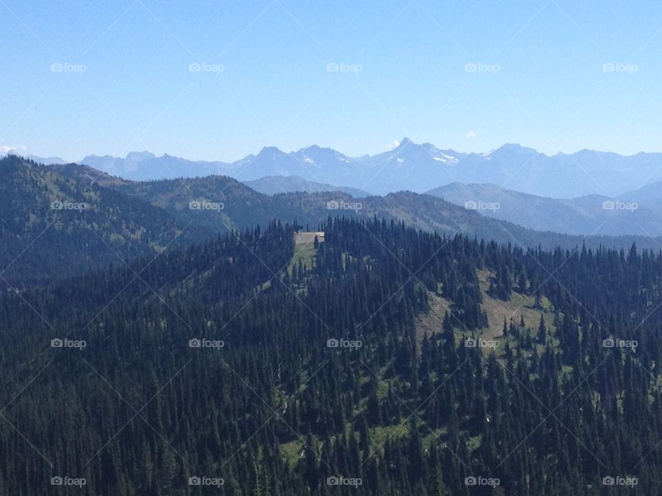 Summer Scenery In Montana