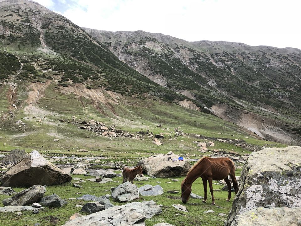 Valley through sonamarg Kashmir 