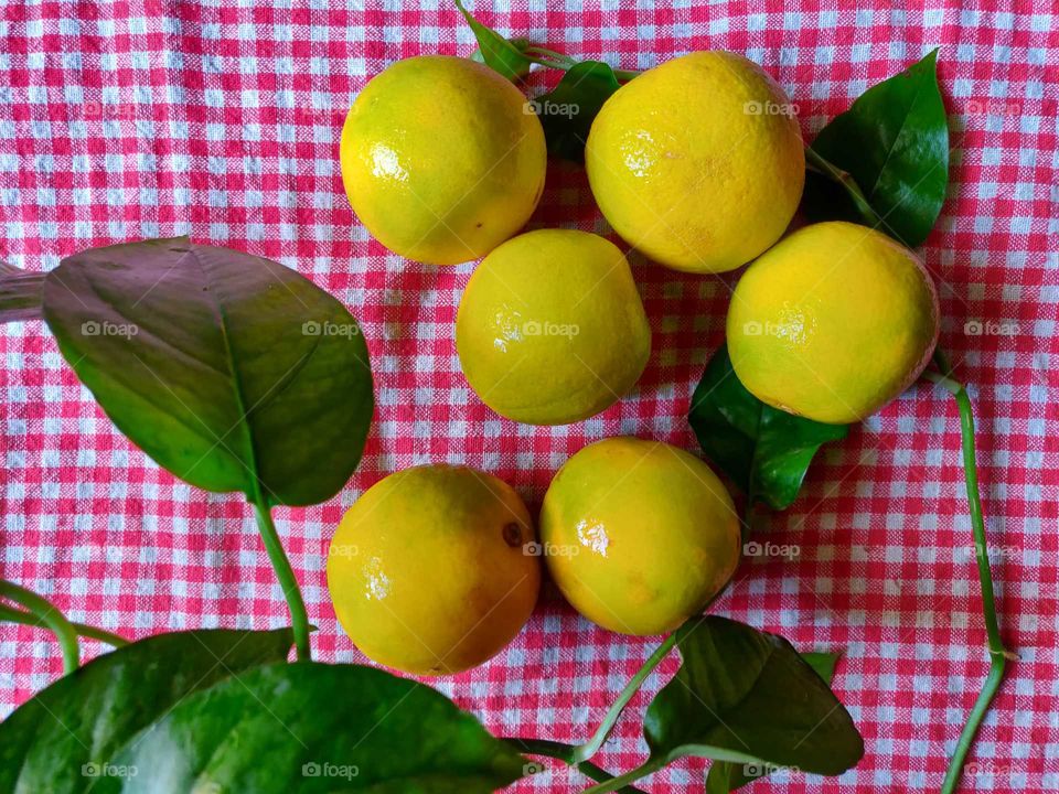 yellow ripe sweet lime spread on a red striped cotton cloth