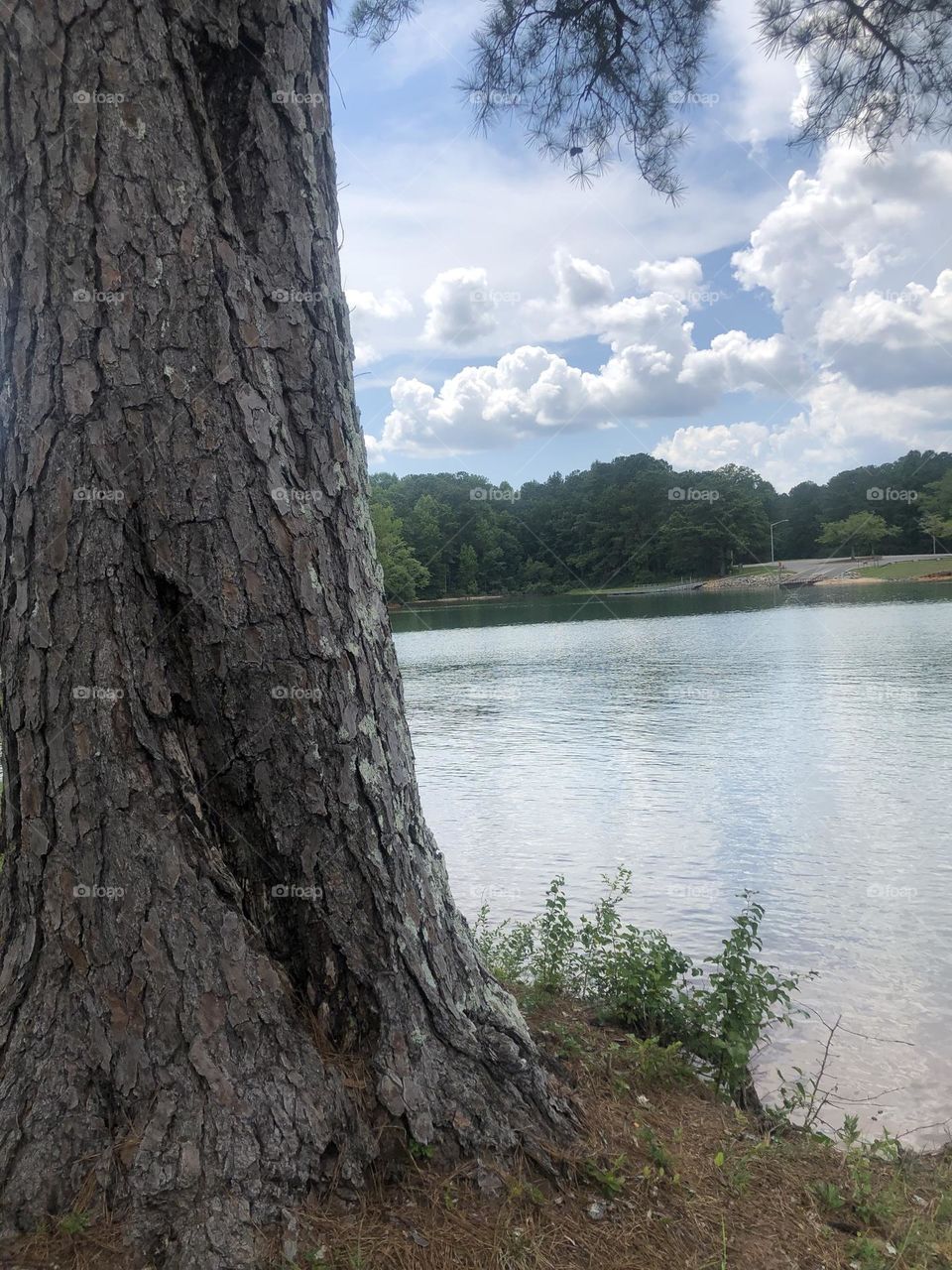 Beauty can be imperfections 