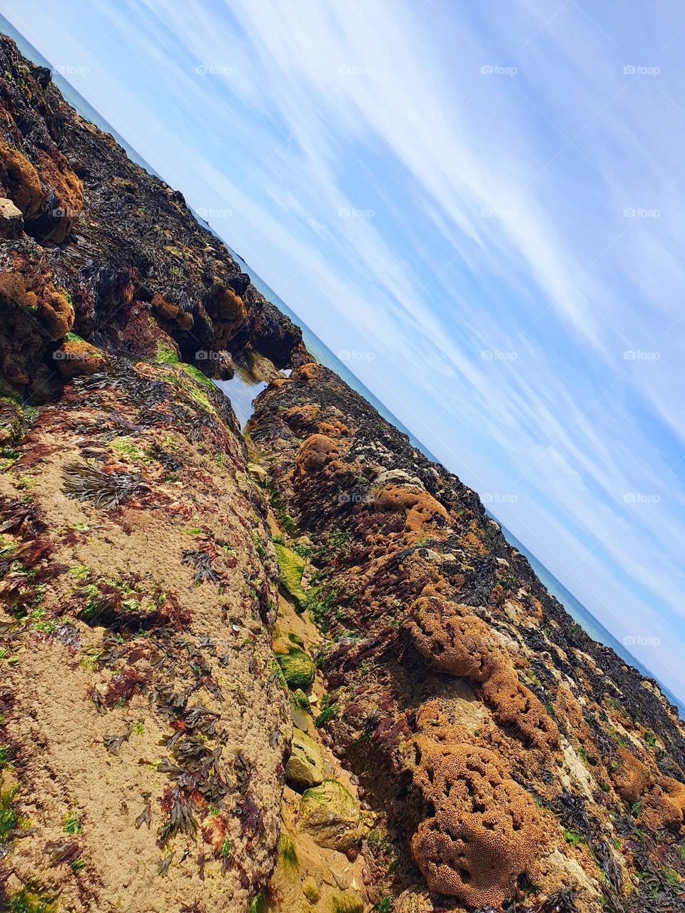 Reefs, mussel beds and sea beyond