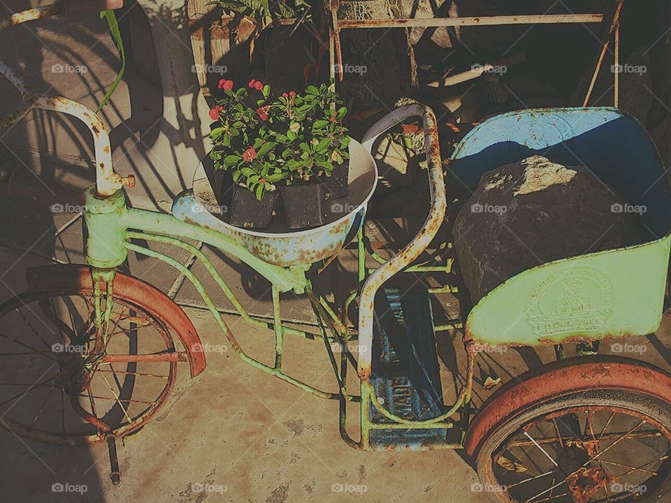 decorate from  D.I.Y