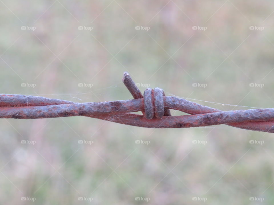 Barbed wire